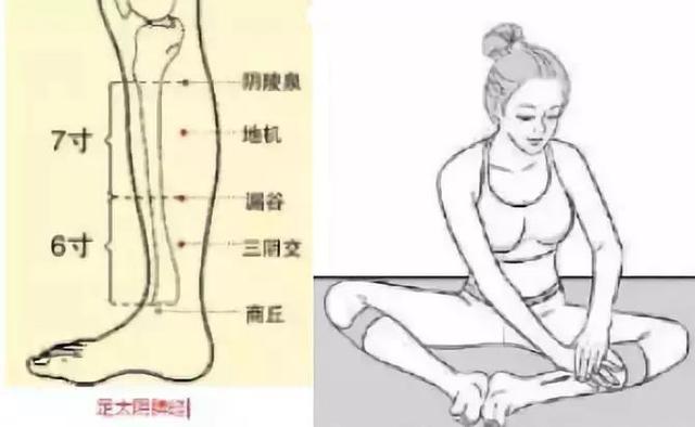 脾虚湿气重怎么调理，脾虚湿气重应该怎么调理（祛湿补脾的3种方法送给您）