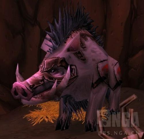 夜行者之弓，魔兽世界夜行者之弓（剃刀沼泽BOSS首领与装备掉落一览）