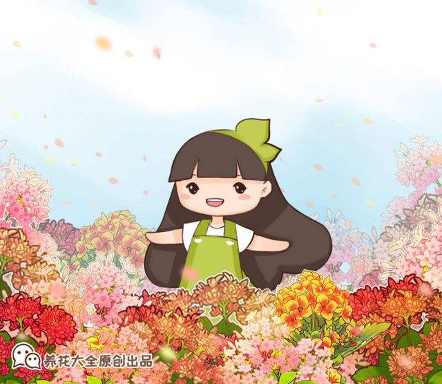 祭拜用什么花，送花讲究“投其所好”