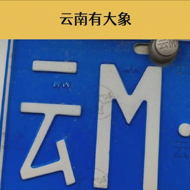 车牌号识别省份，不同省份车牌如何区分（快来看看你所在省份是什么样的）