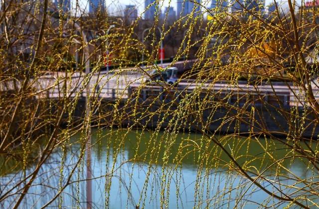 天津农学院是几本，天津农业学院是几本的（天津市普通高等院校）