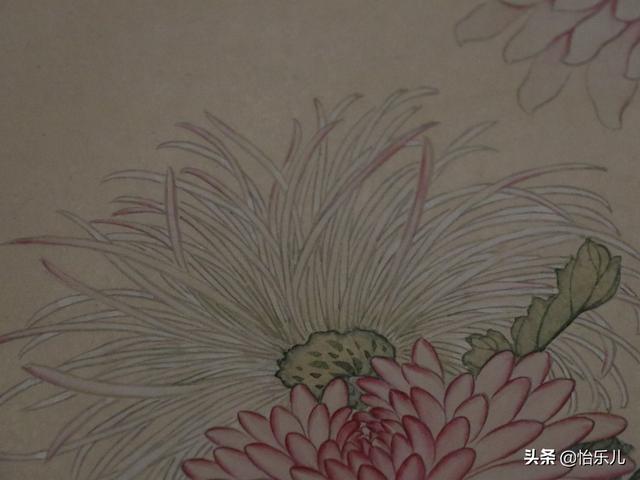 葩的读音（葩怎么读，葩是什么意思（金佛座、搓粉妆、绶带紫、鹤头丹）