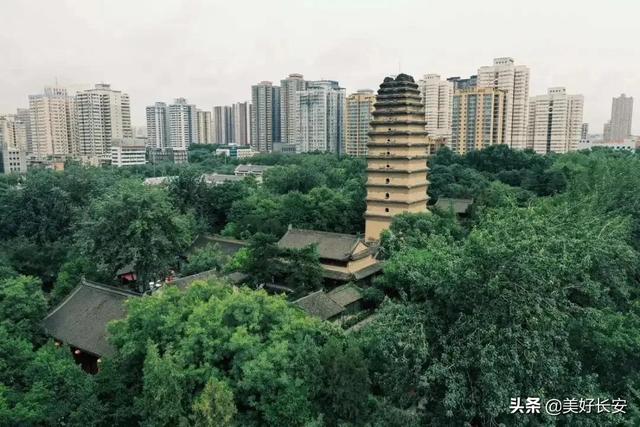 大雁塔是世界文化遗产吗，小雁塔是世界文化遗产吗（如何区分大雁塔和小雁塔）