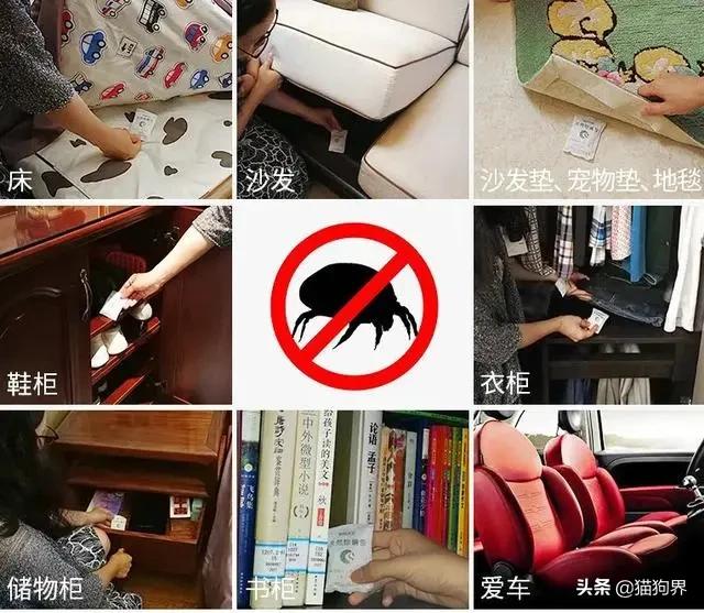 螨虫最怕的土办法，家里老人小孩老过敏