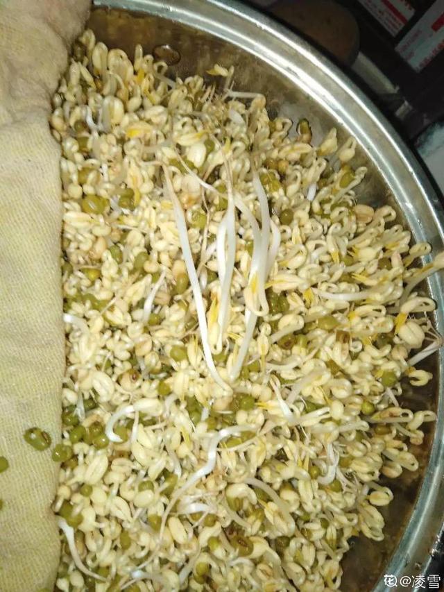 平菇种植最简单方法，平菇种植最简单的方法（喷喷水就能长）