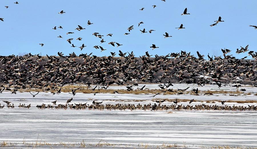镜泊湖在哪里，兴凯湖属于哪个市（黑龙江•镜泊湖）