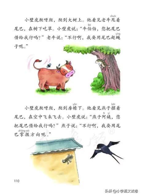 小壁虎借尾巴告诉我们什么道理，小壁虎借尾巴故事主要讲了什么（一下第二十一课《小壁虎借尾巴》教材解析）