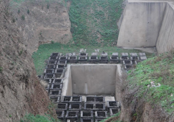 【黄柏木】黄柏木家具好吗，黄柏树木质怎么样（中国最恐怖古墓）