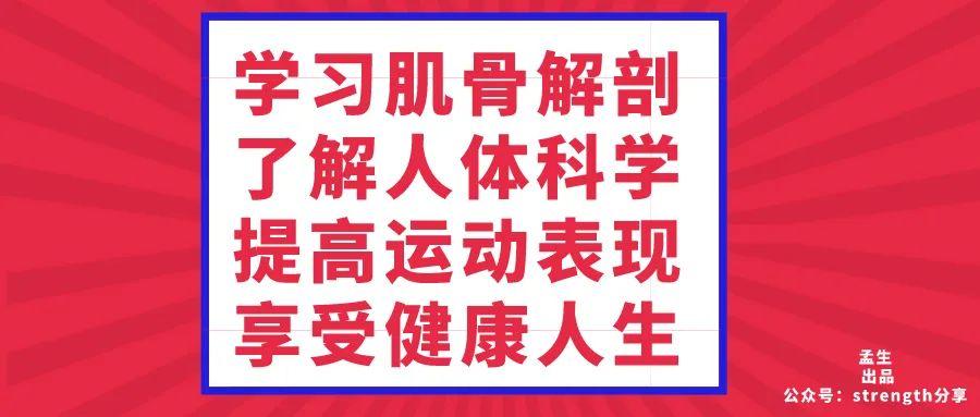 肱骨长是什么意思，股骨长是什么意思（肩关节肌骨解剖学——第三讲）