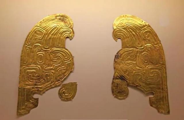 养雪鸮犯法吗，宠物雪貂多少钱一只（猫头鹰的构造原来这么奇葩）