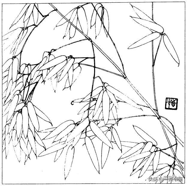 简笔画报花名：手绘铅笔画“白杜鹃花”画法，简笔画报花名（百花苑——白描百花分享<一>）