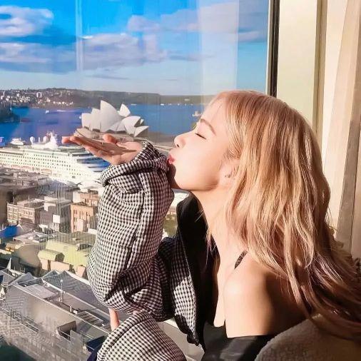 /江樱/ 澳洲野玫瑰朴彩英头像1弹微信，/江樱/ 澳洲野玫瑰朴彩英头像1弹（Rose头像壁纸澳洲野玫瑰）