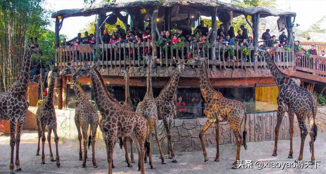 长隆门票价格一览表，全国5A级旅游景区最新门票价格及优惠政策