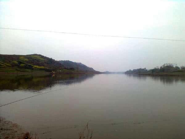 7种常见的鲫鱼品种，最好的鲫鱼是什么品种（这种头短体肥的白鲫）