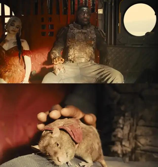 女生头像动漫黑白，漫风纯黑白系动漫/女生头像微信（靠着《自杀小队》）