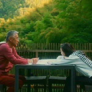 花语比较虐心的花，最惊艳的花语（叶谨言3本书的暗示、花的花语已经够虐了）