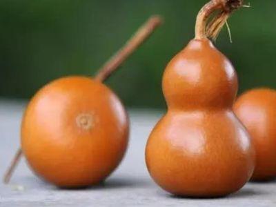 葫芦怎么盘玩包浆，把玩葫芦多久能包浆（文玩葫芦轻松盘出枣红色）