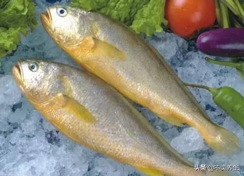 枸杞配什么治早射，硬不起怎么治疗吃什么药（食养妙方——阳痿、早泄）