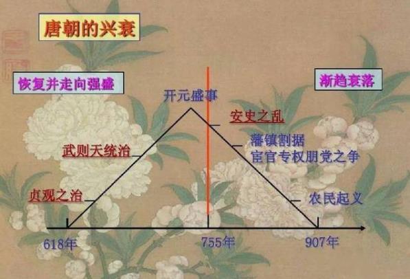 安禄山叛乱的原因是什么，与唐朝当时的国家政策又有何联系？