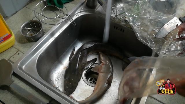 小鲨鱼怎么做好吃，鲨鱼肉怎么做好吃（花39元买了条鲨鱼蒸着吃）