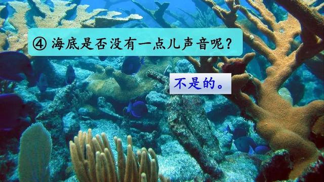 海底有哪些丰富的物产，海底有哪些丰富的物产和特征（部编版三年级下册第23课《海底世界》图文讲解）