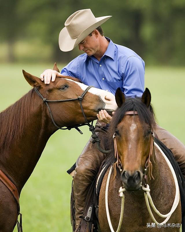 初学者怎么骑马 如何学会基本骑乘，初学者怎么骑马（我是用“心”骑马）