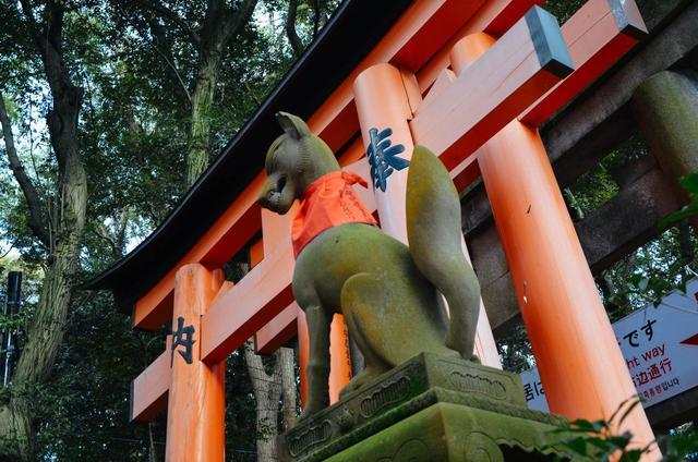 日本鸟居有多可怕，日本鸟居最多的地方（千本鸟居，日本的标志性建筑）
