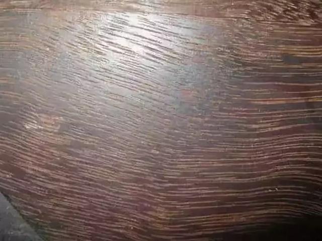 树木名称，知识，铁刀木与铁力木的区别（100种树木名称）