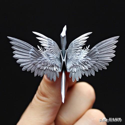 如何做一个千纸鹤，怎样才能做千纸鹤（一千天叠出1000种纸鹤）