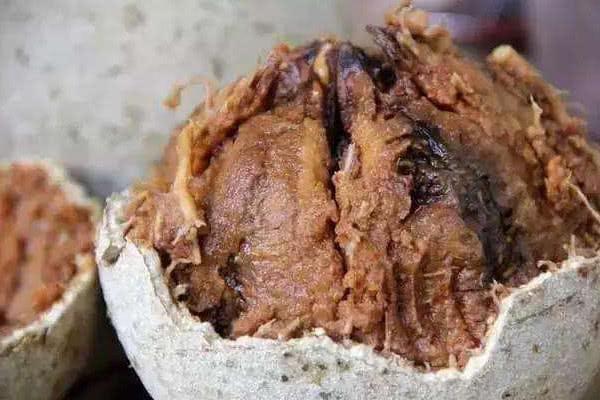 印度特产水果介绍，印度特产水果介绍图片（印度最“硬”水果）