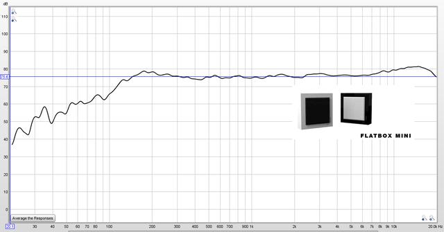 dls是什么意思，Flatmini