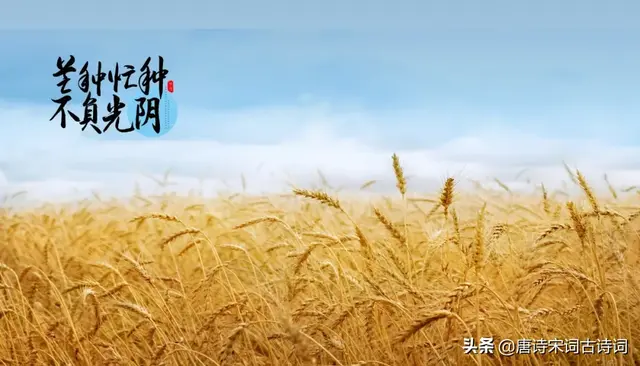 闹什么意思解释，闹字笔画笔顺（赏析陆游的《芒种后经旬无日不雨偶得长句》）