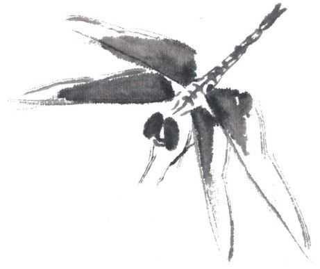 蜻蜓简笔画，蜻蜓简笔画彩色（老艺术家教你几个画法）