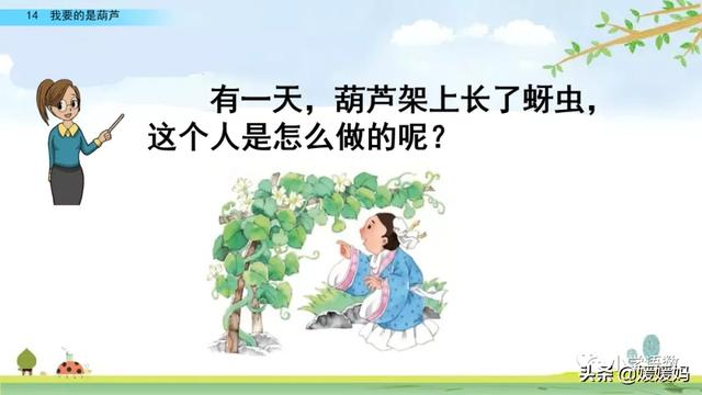 什么的枝叶填空，什么枝叶填空二年级（部编版二年级上册第14课《我要的是葫芦》课件及同步练习）