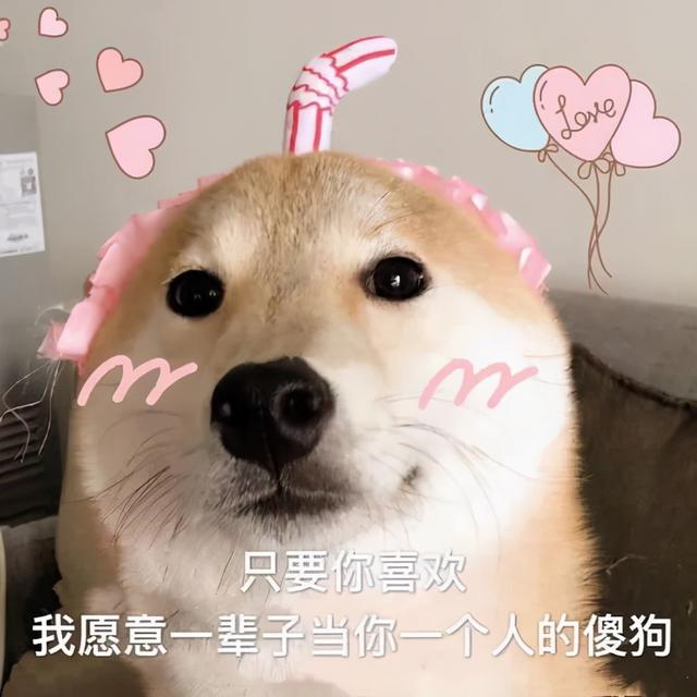 金毛犬，6种狗狗小时候和长大的对比（金毛犬的优缺点及性格）