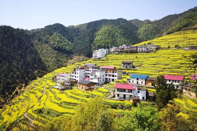 开化县属于哪个市，开化市有哪些镇（18万亩油菜花不逊色于婺源）
