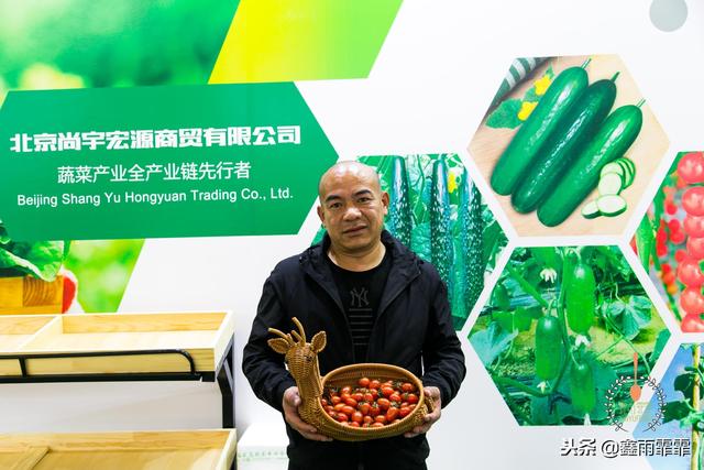 菊苣怎么读是什么意思，菊苣怎么读（这百种水果不要说吃过）