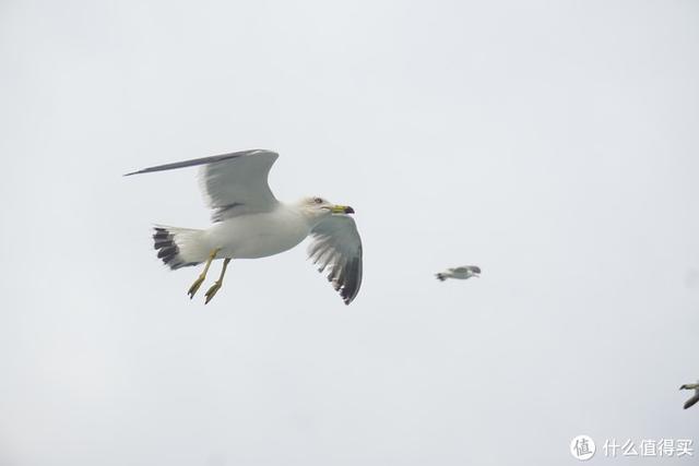 长岛旅游攻略，长岛旅游攻略必玩的景点（周末随心飞之烟台长岛2天1晚小攻略）