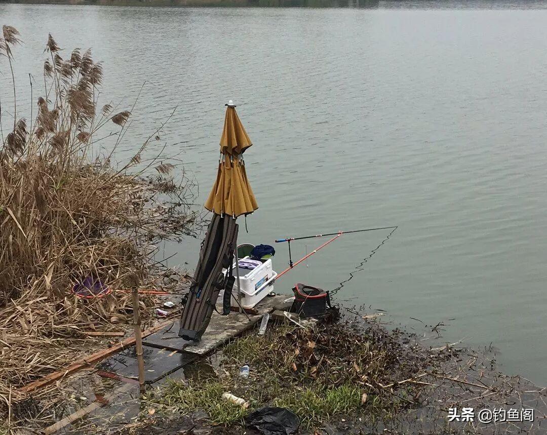 如何挑选实用钓鱼竿包？渔具收纳与携带全攻略，助你轻松出钓不烦恼