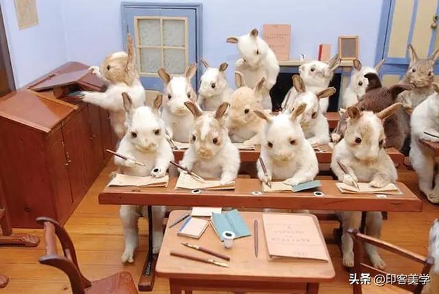 手不释卷的动物，手足之情的动物是什么生肖（世传王安石是獾转世投胎）