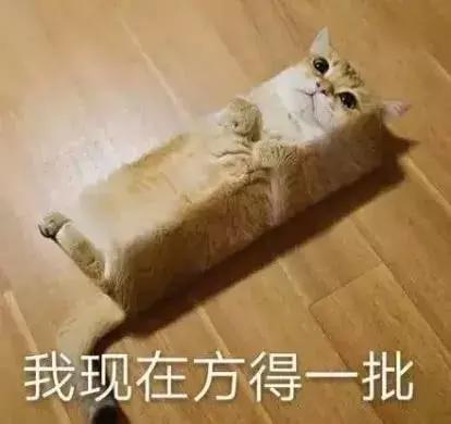 猫砂是什么东西，你知道猫砂是什么垃圾吗