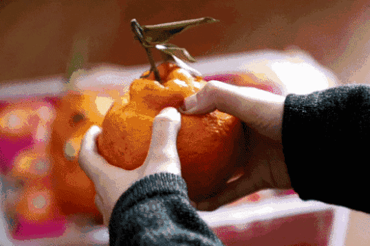 耙耙柑什么人不能吃，耙耙柑不能吃吗（好吃还不上火）