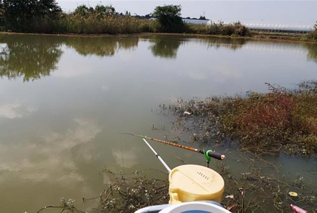 初冬钓鲫鱼方法，冬季鲫鱼钓法（冬天越冷，鱼就越不好钓）