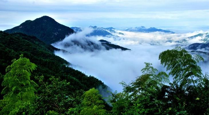 大别山在哪个省哪个市哪个县，大别山景区有哪些景点（谁才是真正的“大别山中心城市”）