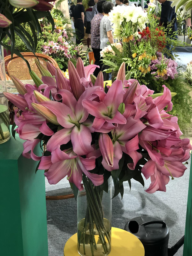 鲜花如何做成干花，如何把鲜花做成干花（快死的鲜花别急着扔）