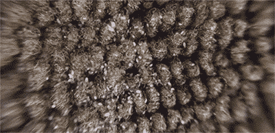 螨虫的克星是什么，螨虫的克星是什么硫磺皂吗（原来是厨房一物）