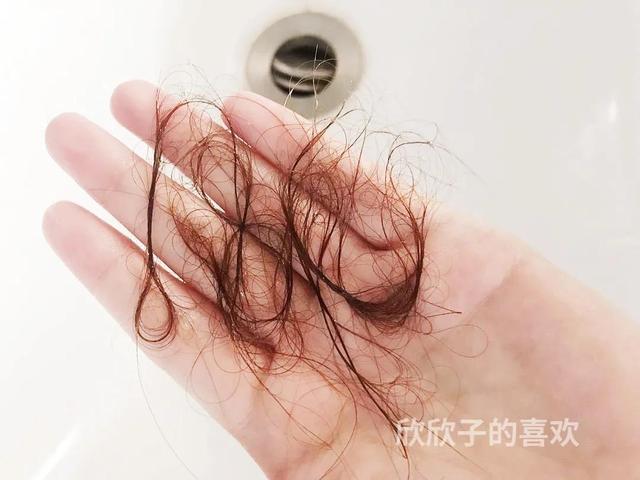 经常用卷发棒好吗，经常用卷发棒的坏处（日常洗护保养头发的几个小技巧）