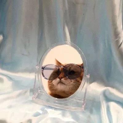 植物大战僵尸头像，植物大战僵尸6人团头微信（在吗？组队换头像啦）