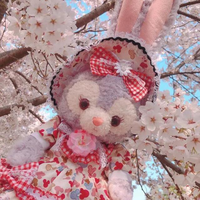 星黛露拟人头像，超可爱星黛露闺蜜头像微信（星黛露，头像五弹）