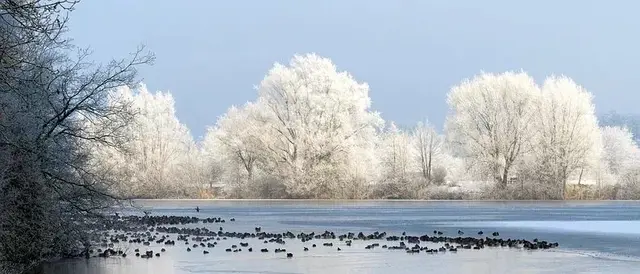 在古代可以用什么词代替雪，在古代对雪的称谓还有哪些（看看古人对雪的24种雅称）